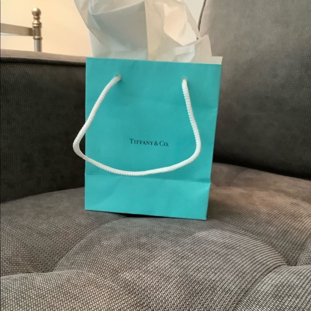 Tiffany Bag - Authentic